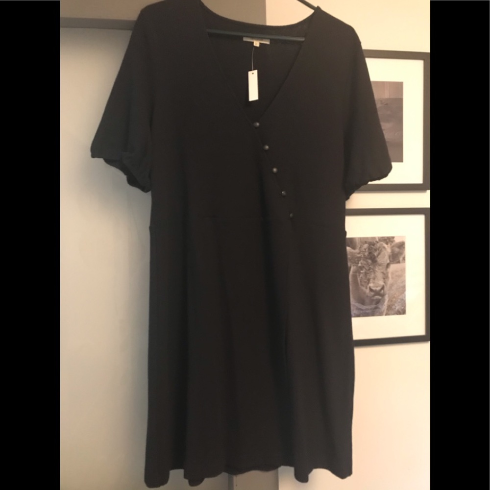 Madewell button front mini dress